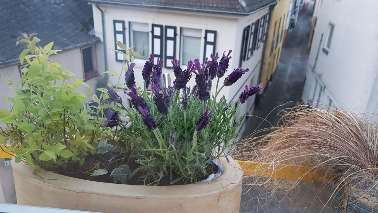 Haus Alfina Exterior foto